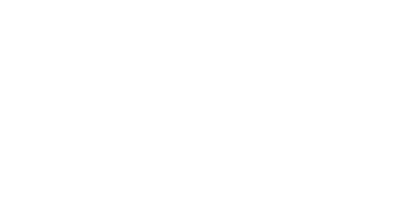 Snyder Stairs logo